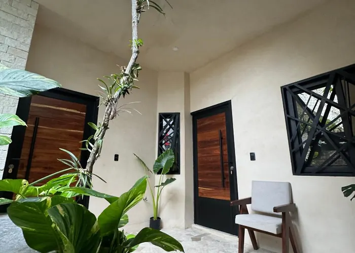 Jr 1habitacion Apartment